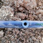 drip-irrigation-in-kenya-3-1024×768