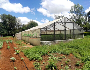 Greenhouse Construction