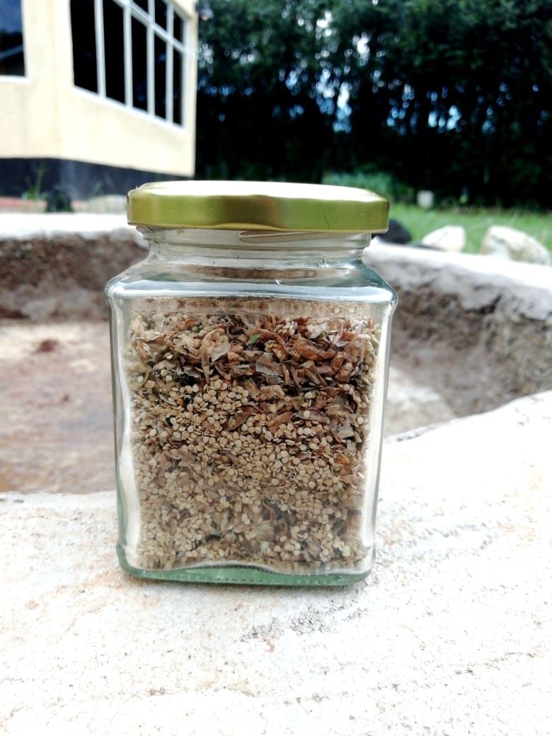 Managu Seeds (African Nightshade)