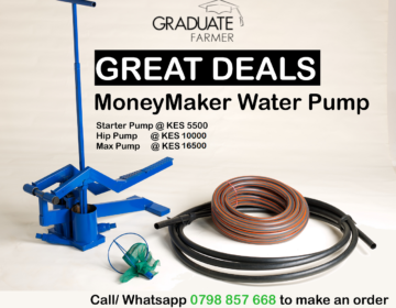 MoneyMaker Water Pump