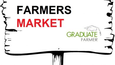 find-market-in-kenya