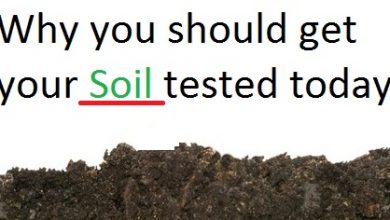 soil-testing-in-kenya