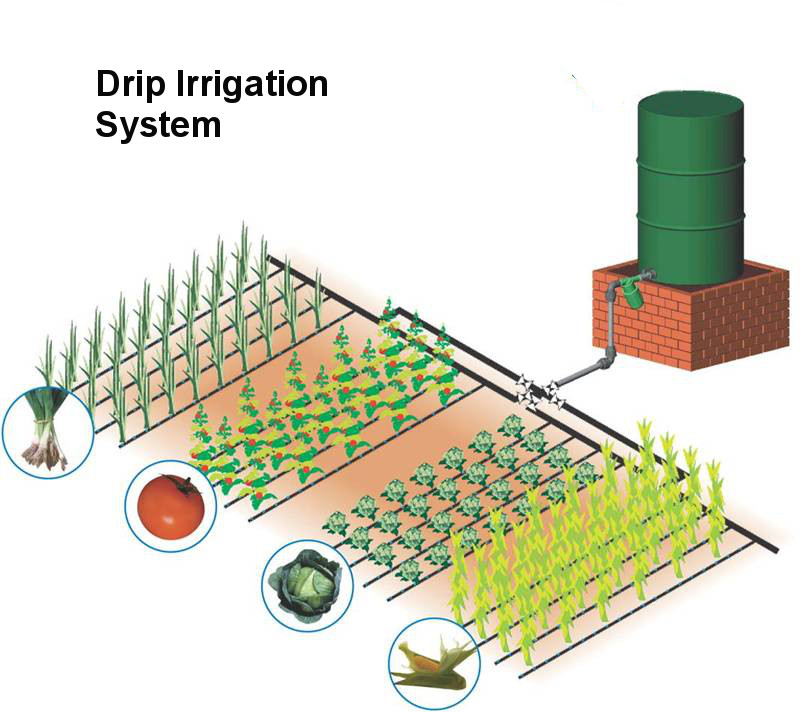 drip irrigation kit