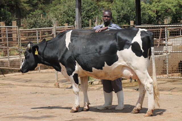 kapsuswa farm eldoret
