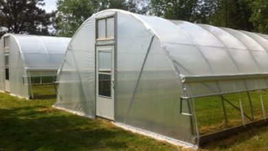 greenhouse farming kit