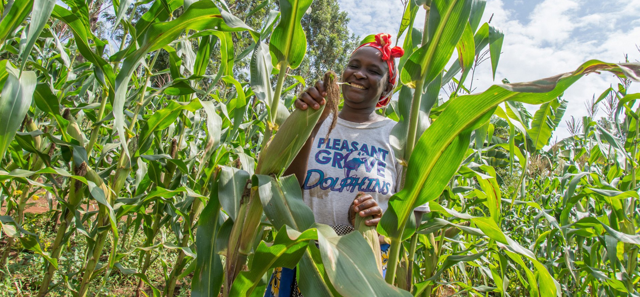 youth and farming kenya
